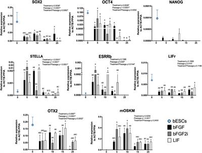 Acquisition and maintenance of pluripotency are influenced by fibroblast growth factor, leukemia inhibitory factor, and 2i in bovine-induced pluripotent stem cells